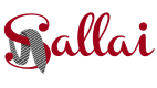 SALLAI Moda Masculina